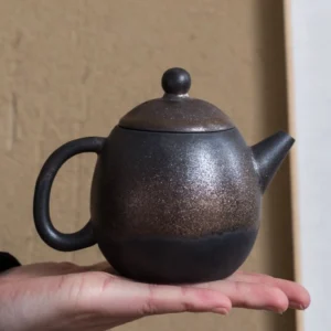 Bronze glaze porcelain teapot full side view Chinese gongfu tea pot 5.4oz