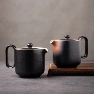 9oz modern japanese ceramic clay teapot full product view