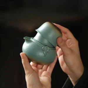 Portable ceramic chawan travel tea set 1 pot 2 cups with carrying case full view