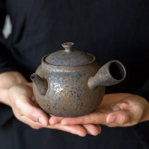 Rustic iron glazed kyusu porcelain teapot side handle full view